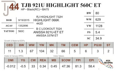 Lot 44 - TJB 921U HIGHLIGHT 560C ET